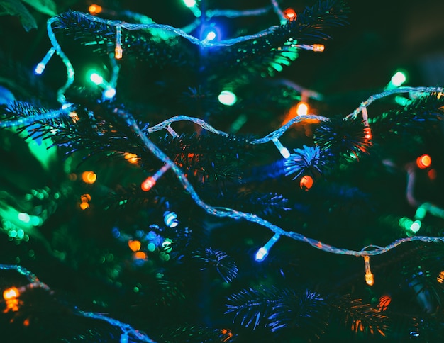 Lumières de Noël multicolores sur le nouvel an des arbres