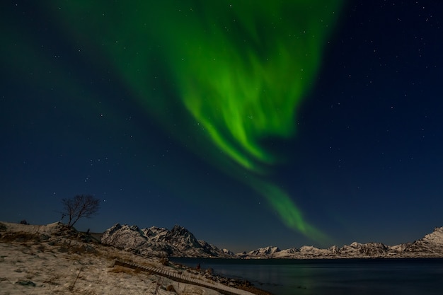 Lumières polaires dramatiques, aurores boréales sur les montagnes du nord de l'Europe