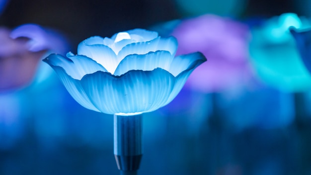 Les lumières sont décorées comme des fleurs pour créer une belle lumière la nuit au festival.