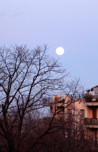 Lune en journée