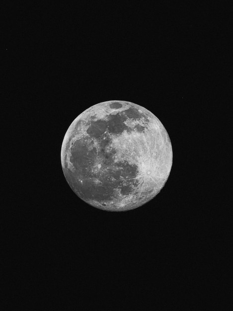 Lune noire et blanche photo premium