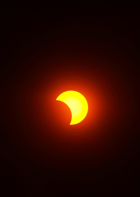 La Lune recouvrant le Soleil d'une brindille d'ombre à éclipse partielle.