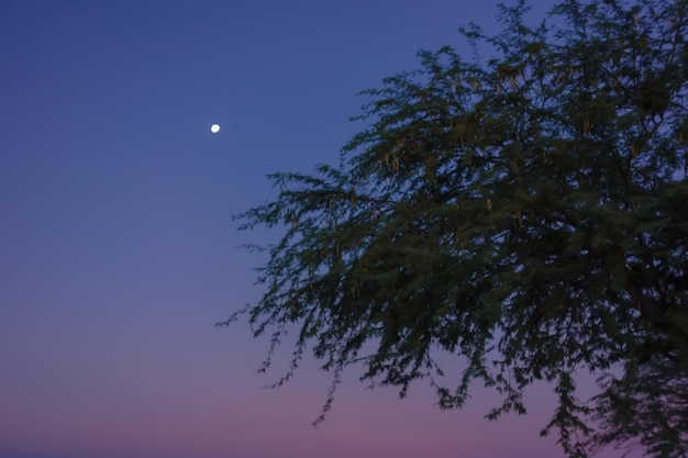 Une lune solitaire au crépuscule contrastant avec le ciel coloré du coucher du soleil