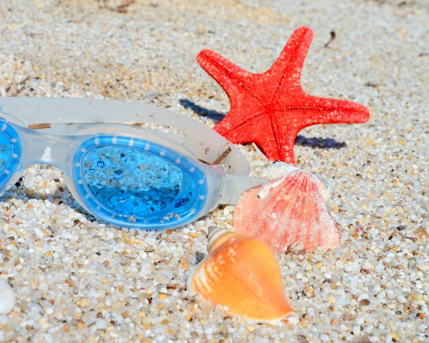 Lunettes bleues et étoiles de mer rouges avec des coquillages sur une plage blanche