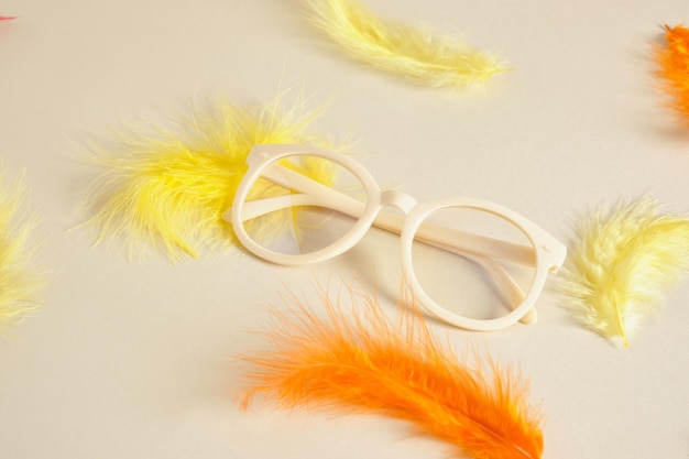 Lunettes sur fond beige avec plumes colorées