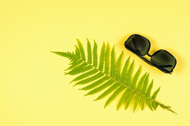 Lunettes de soleil et une feuille de fougère sur fond jaune Mise à plat