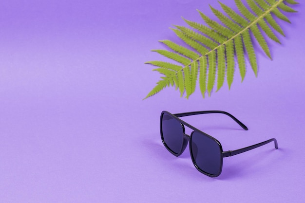 Lunettes de soleil et feuille de palmier sur fond lilas