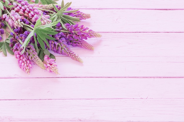 Lupin sur mur en bois rose