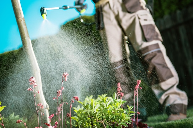 La lutte contre les insectes dans le jardin