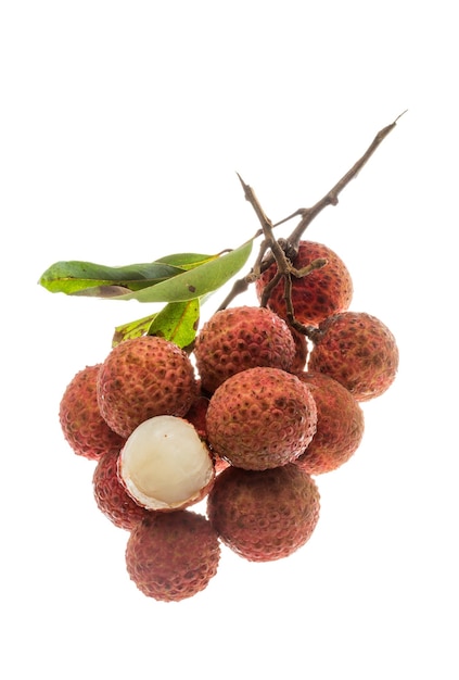 Photo lychee à fruits asiatiques