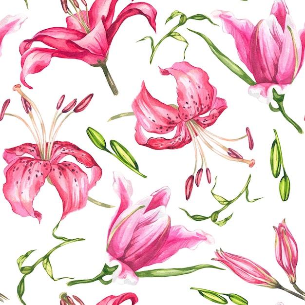 Lys Illustration botanique aquarelle Motif de fleurs et de feuilles