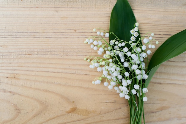 Photo lys de la vallée fleurs blanches jacinthes fleurs de printemps fleurs blanches sauvages mois de mai muguet dans la forêt plante vénéneuse