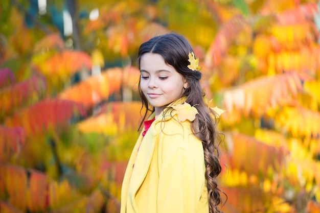 Ma couleur préférée est octobre Petite fille porte des feuilles d'automne dans de longs cheveux bruns Meilleure coiffure d'automne Créer une coiffure à l'aide de feuilles d'automne S'amuser avec des feuilles d'automne Nature d'automne colorée