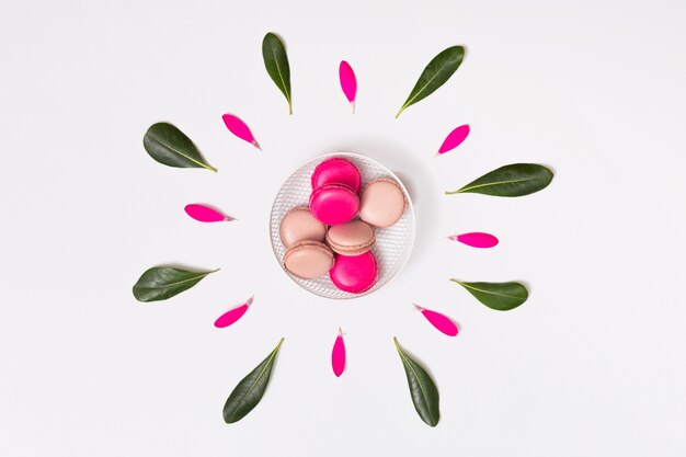 Photo macarons sur assiette entre pétales et feuillage