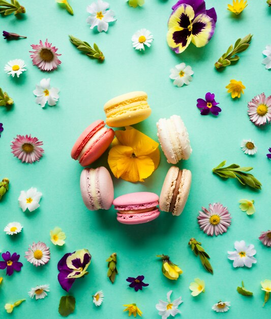 Macarons colorés appétissants et belles fleurs sur fond vert. Disposition à plat