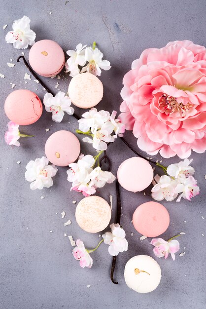 Macarons Doux Pastel