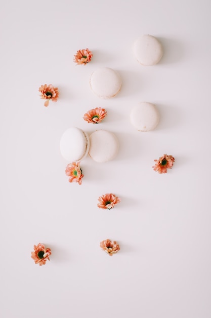 macarons et fleurs français colorés sur une surface blanche avec vue de dessus de l'espace de copie