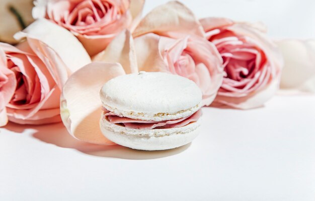 macarons sur fond blanc