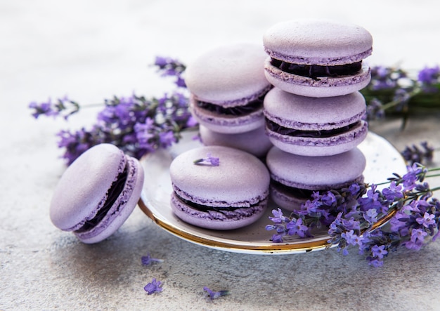 Macarons français au goût de lavande et fleurs de lavande fraîches