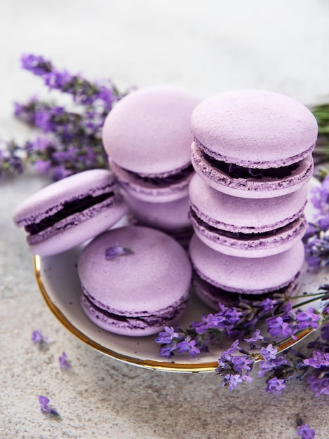 Macarons français au goût de lavande et fleurs de lavande fraîches