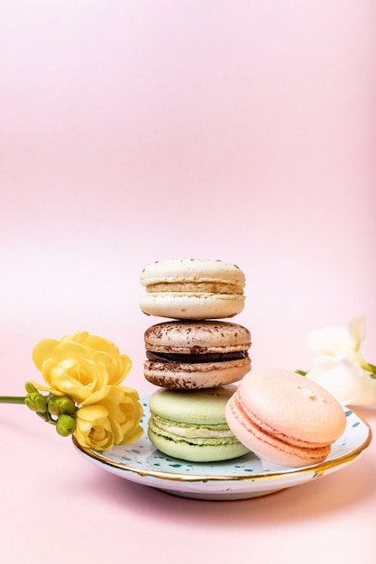 Macarons français colorés avec freesia sur rose