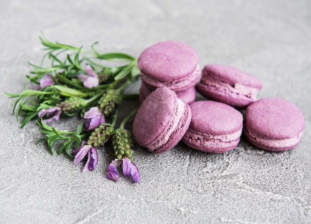 Macarons français à la lavande