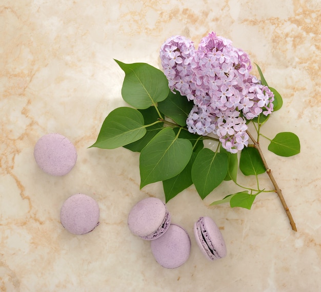 Macarons français violets à fleurs lilas