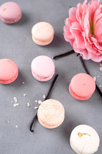 Macarons de pastel français