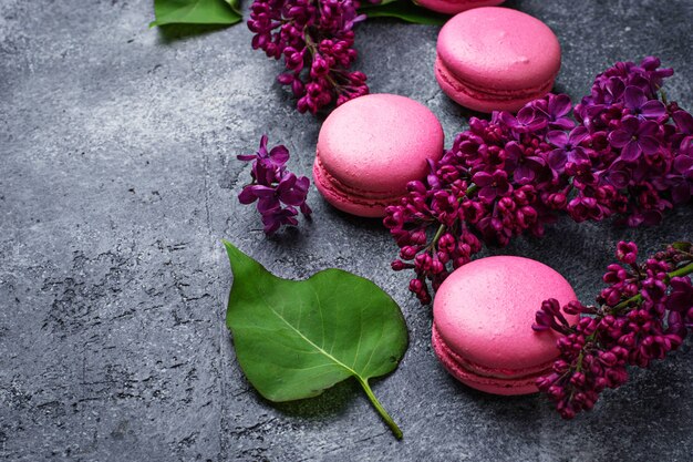 Macarons roses et lilas.