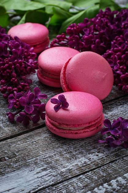 Macarons roses et lilas.