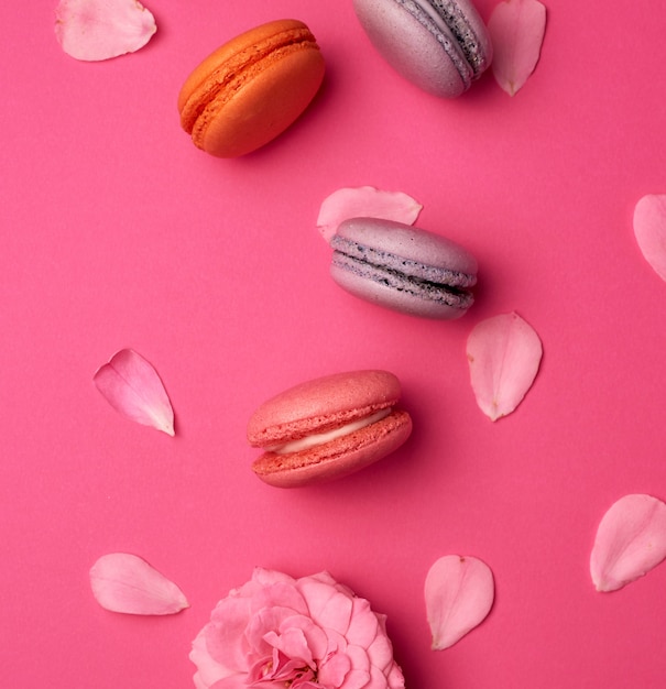 Macarons sucrés multicolores à la crème et un bouton de rose aux pétales épars