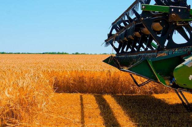 Une machine agricole récolte la récolte de blé jaune en plein champ par une journée ensoleillée