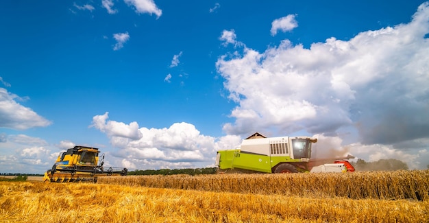 Machine agricole récolte des récoltes dans les champs Technique spéciale en action Concept agricole Panorama des récoltes mûres Collecte de céréales Machinerie lourde ciel bleu au-dessus du champ