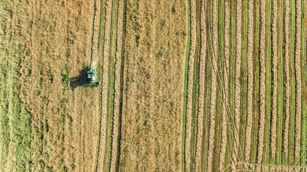 Machine de récolte travaillant dans le champ vue aérienne d'en haut, moissonneuse-batteuse machine agricole récolte champ de blé mûr