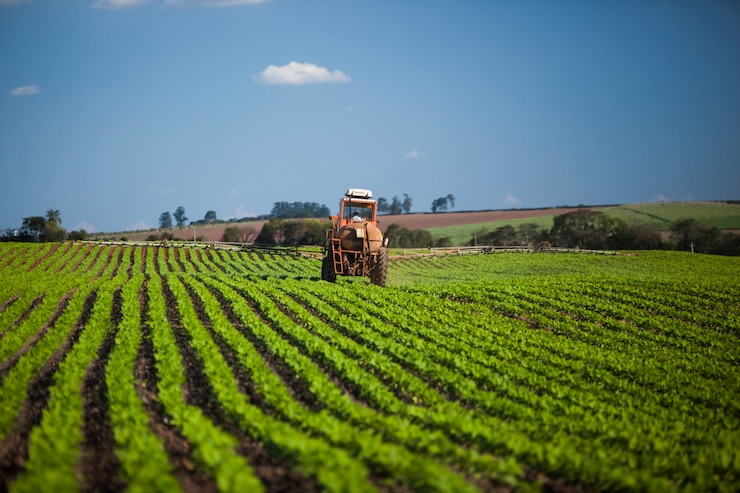 Photo machine travaillant au champ d'arachides sous un ciel bleu. agriculture.