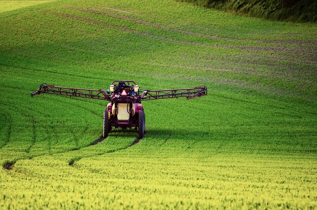 Machines agricoles pulvérisant de l'insecticide