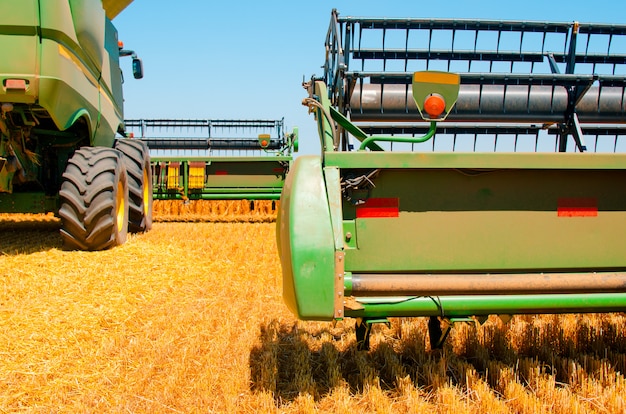Les machines agricoles recueille la récolte de blé jaune en champ ouvert par une belle journée ensoleillée