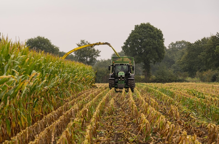 Photo machines agricoles tracteur et chopper pendant la récolte du maïs