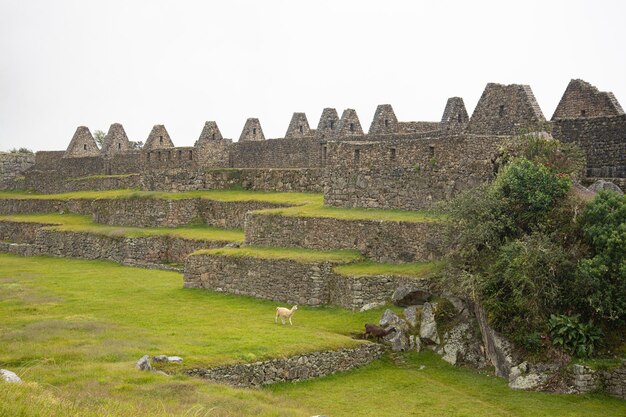 Machu Picchu Cusco Pérou