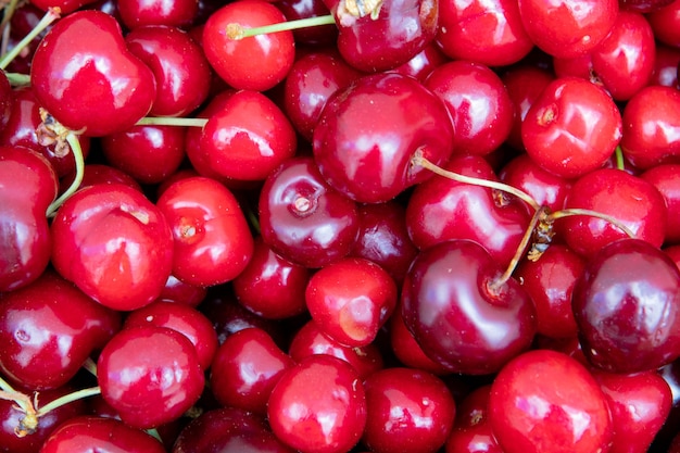 Macro de baies biologiques fraîches. Fond de fruits