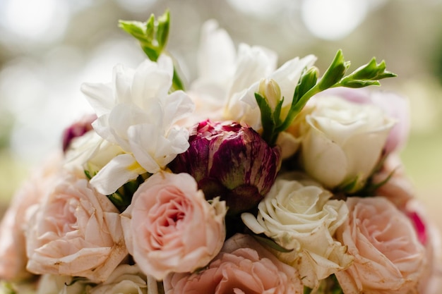 Macro de bouquet de fleurs de roses de printemps