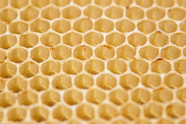 Macro de cellules en nid d'abeille