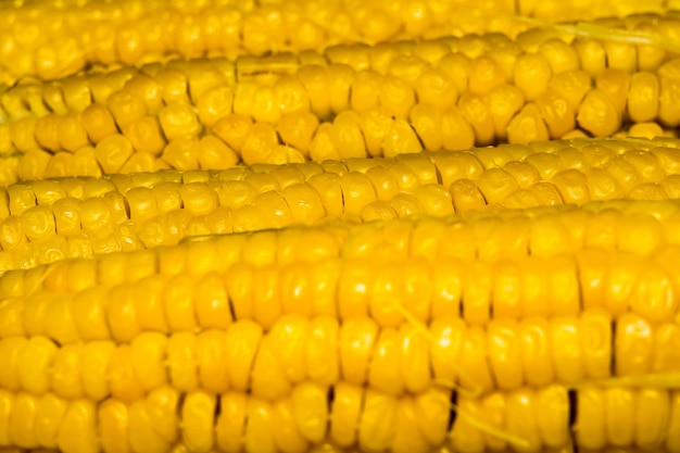 Macro Corn Cob