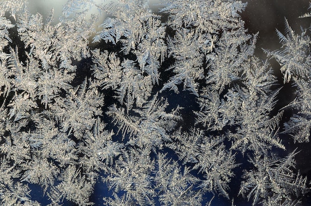 Macro de givre rime flocons de neige sur la vitre de la fenêtre