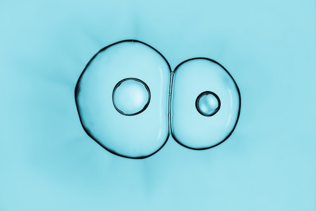 Macro gros plan de bulles de savon ressemble à l&#39;image scientifique du processus de division cellulaire.