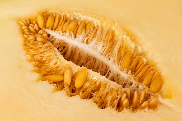 Macro photo de graines mûres de melon avec pulpe juteuse. Fermer. Mise au point sélective.