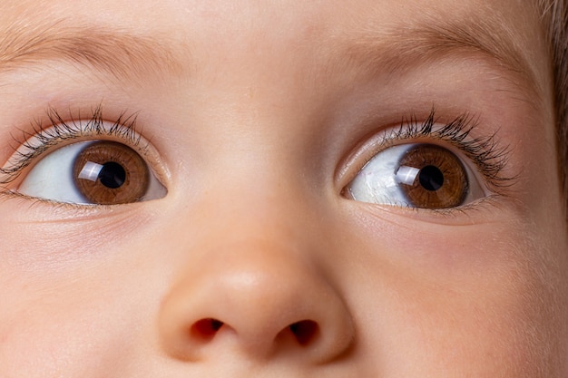 Macro photo de l'œil brun de l'enfant.