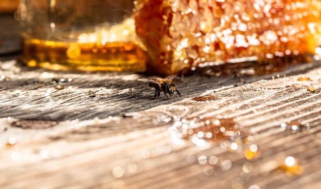 Macro photo d'une ruche d'abeilles sur un nid d'abeilles