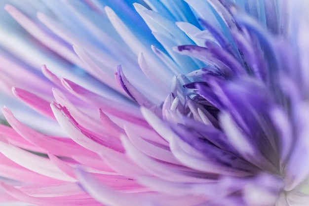 Une macro prise de vue d'une fleur rose