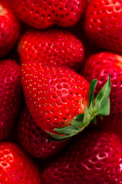 Macrophotographie de fraises les baies de fraises rouges mûres sont grandes